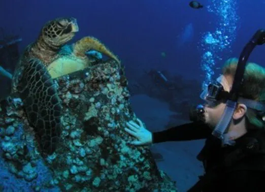 In-2-Scuba-3