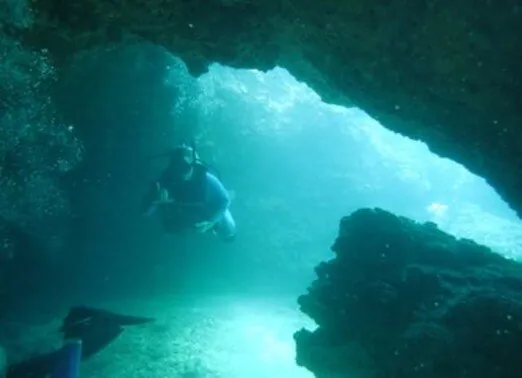 Oahu Dolphin Divers 2