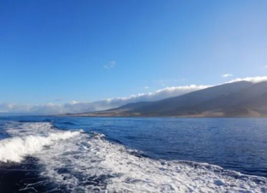 Oahu Dolphin Divers 5