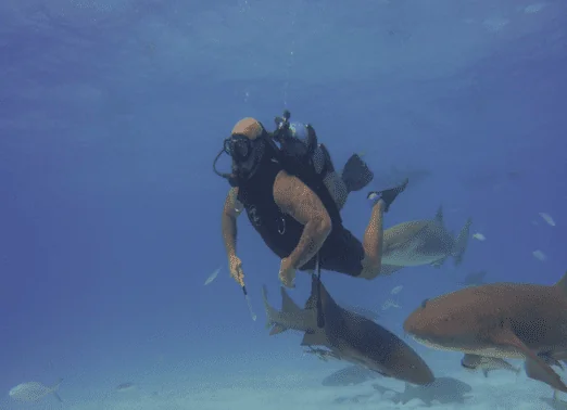 Florida Keys Dive Center 1