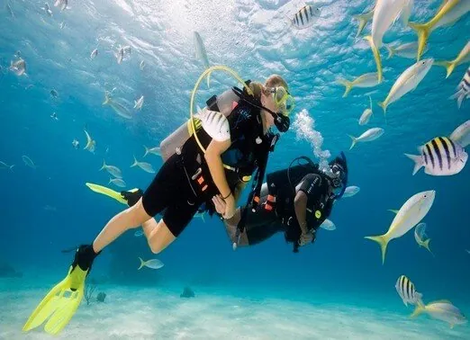 Squalo Diver 2