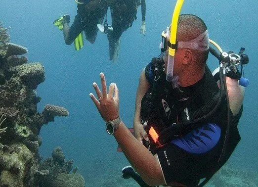 Squalo Diver 4