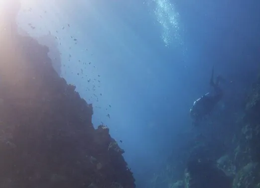 Try Diving 1